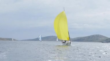 Sarı beyaz yat yelken ve yelkenli tekneler.