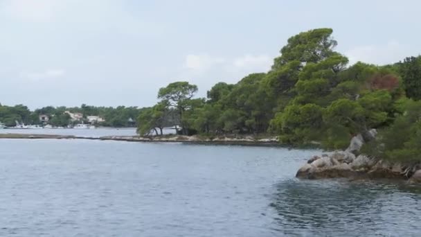 Paesaggio naturale unico la riva . — Video Stock