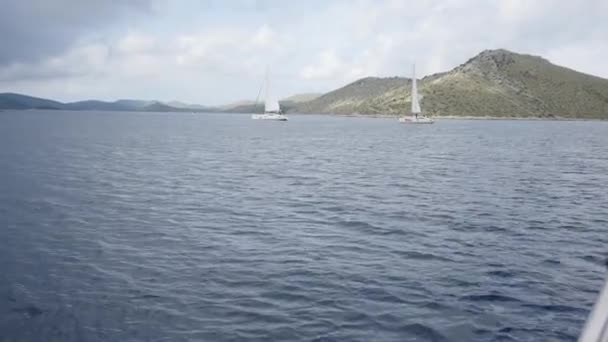 Vita yachter och båtar av regatta. — Stockvideo