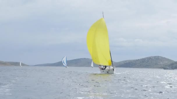 Vita båtarna gul segel och båtar Regatta. — Stockvideo