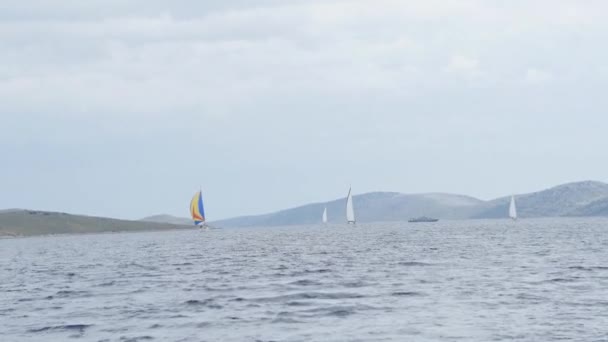 Fehér jachtok és hajók a regatta. — Stock videók