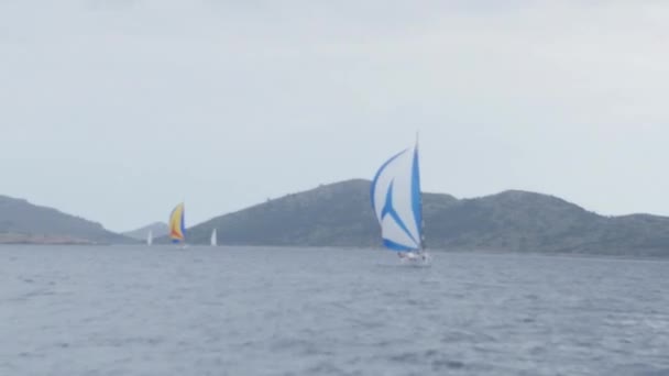 Fehér jachtok és hajók a regatta. — Stock videók