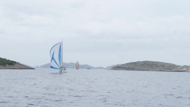 Fehér jachtok és hajók a regatta. — Stock videók