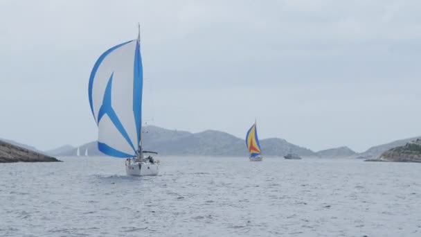 Vita yachter och båtar av regatta. — Stockvideo