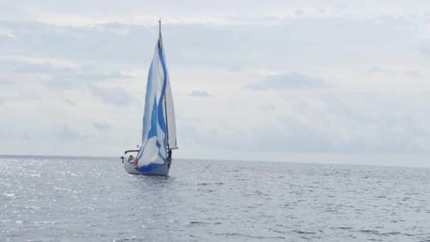 Fehér jachtok és hajók a regatta. — Stock videók