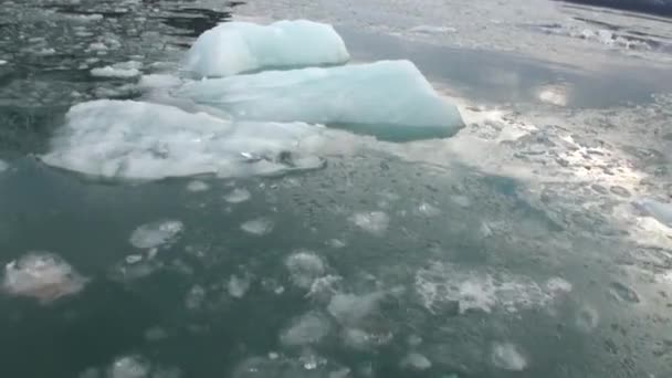 Los témpanos de hielo en movimiento del océano Ártico en Svalbard . — Vídeos de Stock