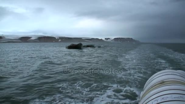 Olas y pista de agua desde el barco en el Océano Ártico en Svalbard Spitsbergen . — Vídeos de Stock