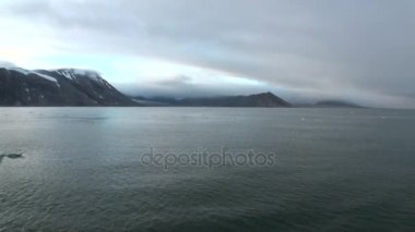 Kuşlar ve arka planını Arktik Okyanusu dağlarda kar su yüzeyine.