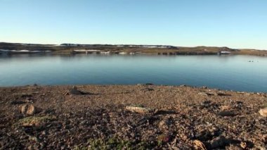 Yeni Dünya'Kuzey Buz Denizi Sahili ve yüzey su kar.