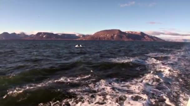 Vågor och vatten spår spår från fartyg i norra ishavet på Svalbard Spetsbergen. — Stockvideo