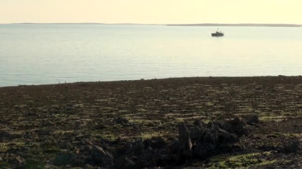 Loď expedice v oceánu na nové zemi Vaigach. — Stock video