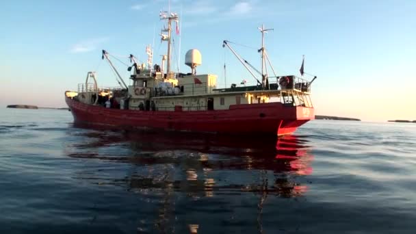 Expeditionshipen i havet på nya jorden Vaigach. — Stockvideo