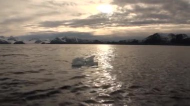 Buzlar Arktik Okyanusu Svalbard içinde hareket.