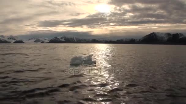 Buzlar Arktik Okyanusu Svalbard içinde hareket. — Stok video