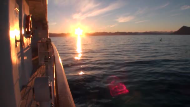 Weerspiegeling van de zonsondergang op het wateroppervlak en dek van jacht in de Noordelijke IJszee. — Stockvideo