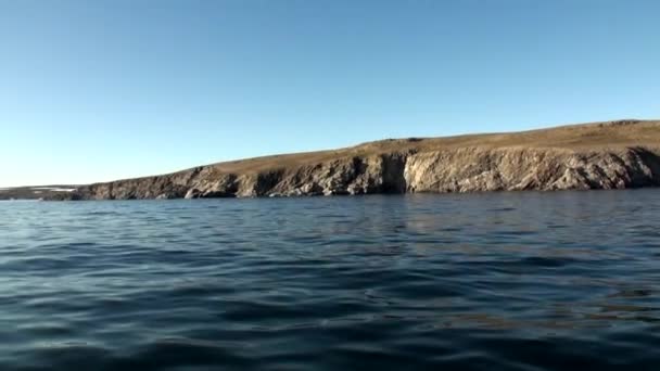 Yeni Dünya'Kuzey Buz Denizi Sahili ve yüzey su. — Stok video