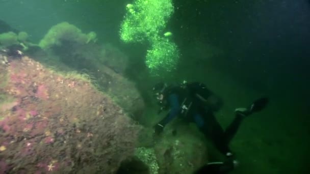 Taucher Silhouette auf dem Hintergrund des Meeresbodens unter Wasser. — Stockvideo