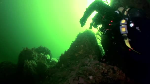 Scuba diver på bakgrund av reflektion av solljus under vattnet. — Stockvideo