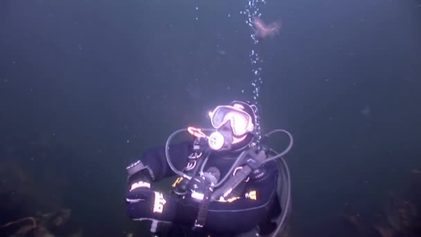 Scuba diver σε φόντο αντανάκλαση φωτός, του ήλιου, υποβρύχια. — Αρχείο Βίντεο