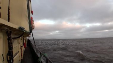 Dalgalar ve Kuzey Buz Denizi, su yüzeyine Yeni Dünya'ya Vaigach için gemiden görüntüleyin.