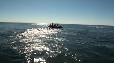 İnsanlar walruses Arctic suda grup yakınındaki kauçuk teknede yeni dünya.