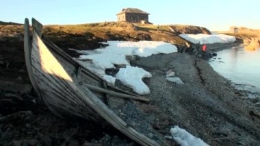 Turistler kaşifler çöl vahşi yeni dünya temel walruses house yakınındaki.