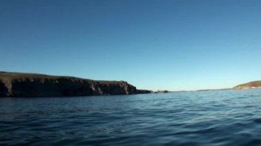 Yeni Dünya Vaigach adasında Arktik Okyanusu Sahili ve su yüzeyine.