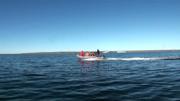 Lidé v gumovém člunu v oceánu na nové zemi Vaigach. — Stock video