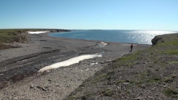 L'homme sur la côte et la surface de l'eau de l'océan Arctique sur la Nouvelle Terre Vaigach Island . — Video