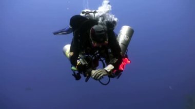 Scuba diver Kızıldeniz'derin sualtı Yüzme.