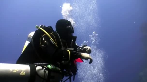 Buceador nadando profundo bajo el agua en el Mar Rojo . — Vídeo de stock