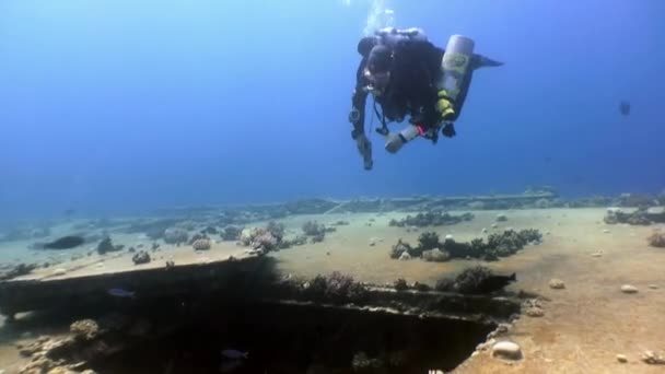 Duikers zwemmen verkennen schipbreuk Salem Express diep onderwater rode zee. — Stockvideo