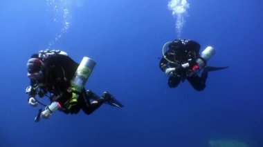 Yüzme dalgıçların batık Salem hızlı derin sualtı keşfetmek.