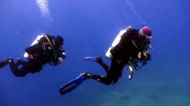 Yüzme dalgıçların batık Salem hızlı derin sualtı keşfetmek.