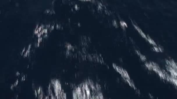 Vagues et vue sur la surface de l'eau depuis le yacht de luxe bow blanc en mer Rouge . — Video