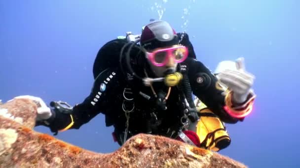 Scuba divers swimming explore shipwreck Salem Express deep underwater. — Stock Video