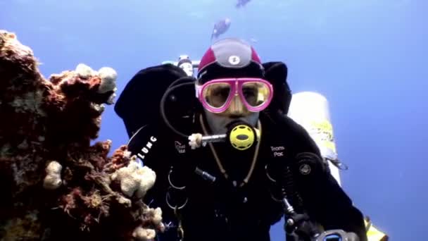 Scuba divers swimming explore shipwreck Salem Express deep underwater. — Stock Video