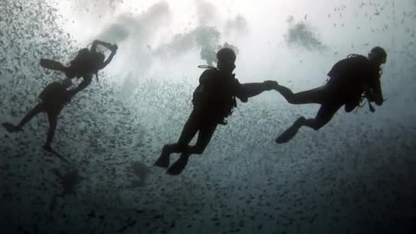 Buceadores en el fondo de la escuela de peces bajo el agua en el fondo del mar en Maldivas . — Vídeos de Stock