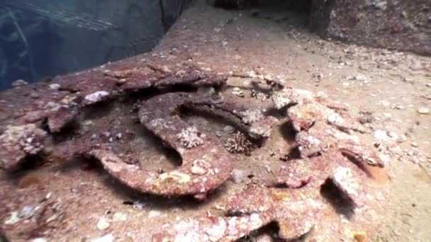 Symbol logo shipwreck Salem Express deep underwater Red sea. — Stock Video