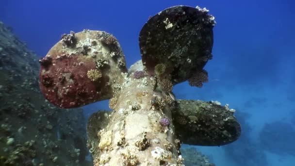 Screw of shipwreck Salem Express deep underwater Red sea. — Stock Video