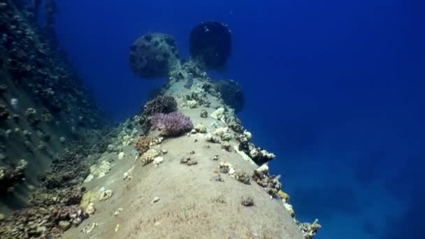 Screw of shipwreck sunken Salem Express deep underwater Red Sea. — Stock Video