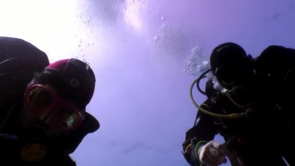 Potápěči plavání prozkoumat vrak Salem Express hluboko pod vodou. — Stock video