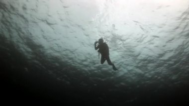 Scuba diver siluet derin sualtı Yüzme.