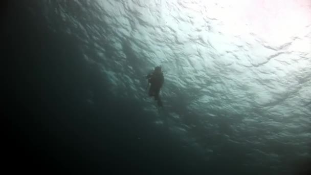 Scuba diver silueta plavání hluboko pod vodou. — Stock video