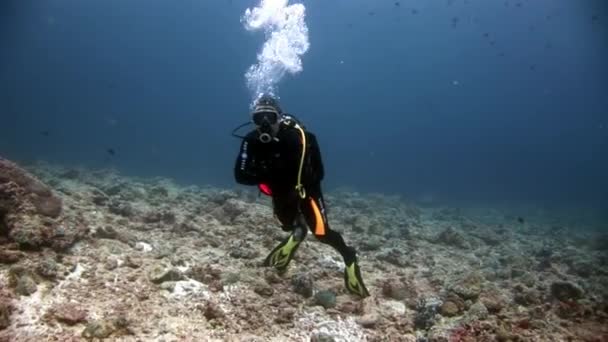 Buceador nadando bajo el agua . — Vídeos de Stock