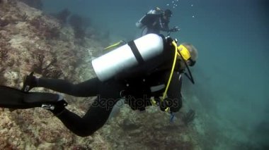 Scuba diver derin sualtı Yüzme.