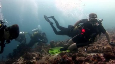 Scuba diver derin sualtı Yüzme.