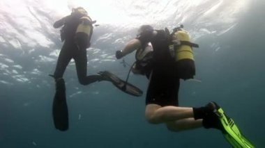 Scuba diver derin sualtı Yüzme.