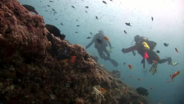 Scuba diver diep onderwater zwemmen. — Stockvideo