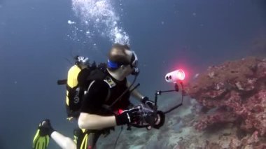 Scuba diver derin sualtı Yüzme.